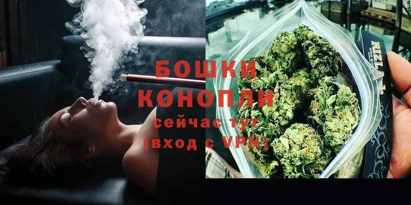 наркотики  Красноармейск  Бошки марихуана OG Kush 